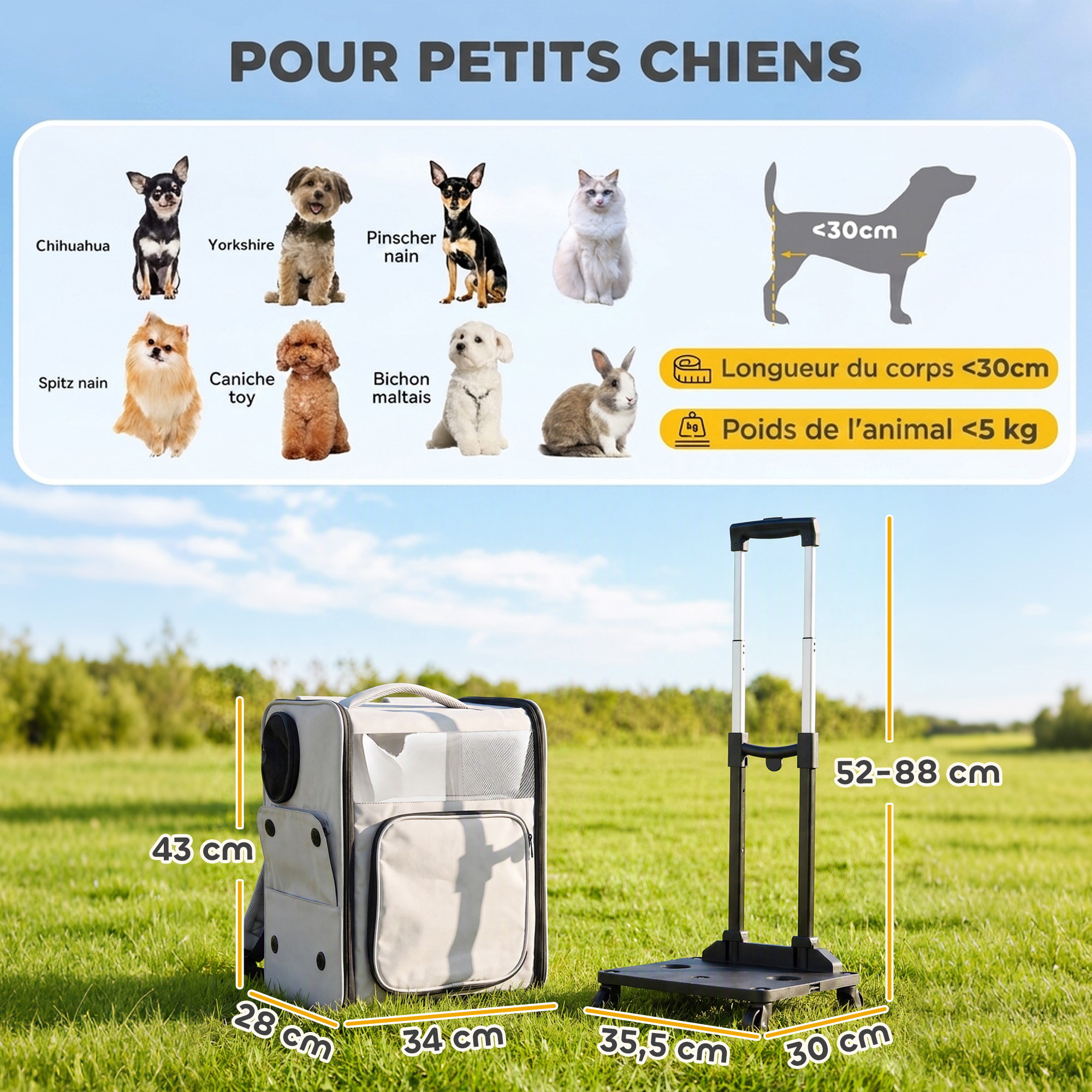 Magán: Sac de Transport pour Chat 2-en-1 à Roulettes Pliable Extensible Ventilé Soutien Lombaire Respirant 34x28x43cm Gris